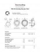 Truarc	N5000-106	进口不锈钢制扣环PH